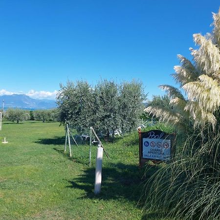 Agriturismo Al-Bor Лацизе Екстериор снимка