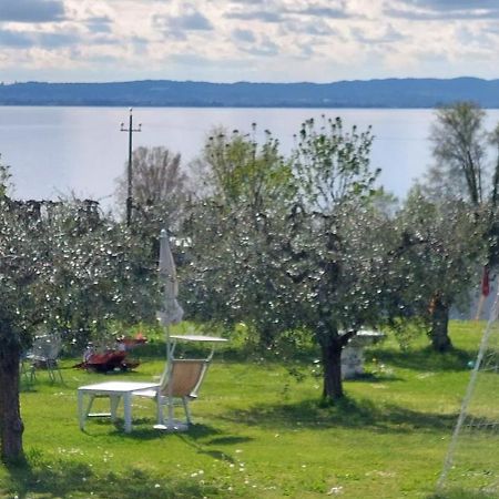 Agriturismo Al-Bor Лацизе Екстериор снимка