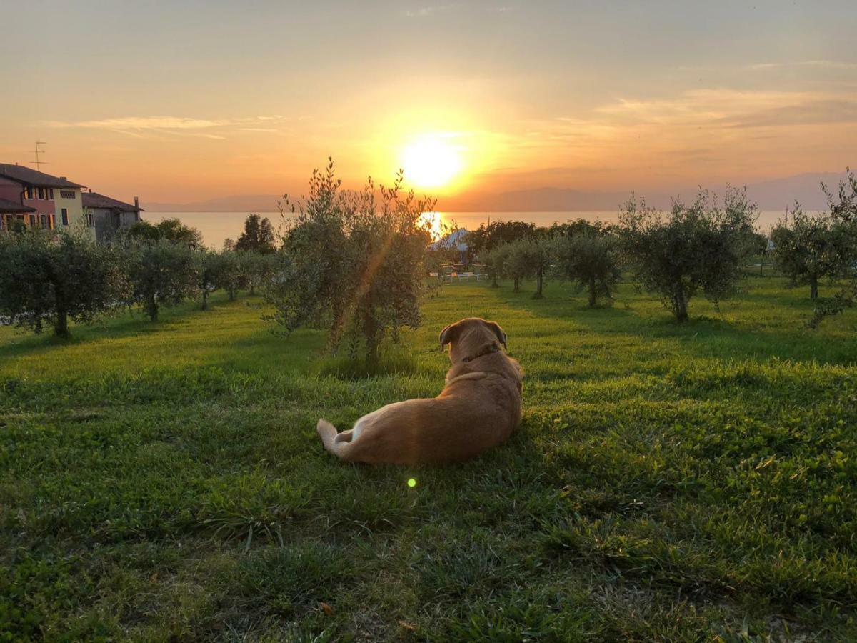 Agriturismo Al-Bor Лацизе Екстериор снимка